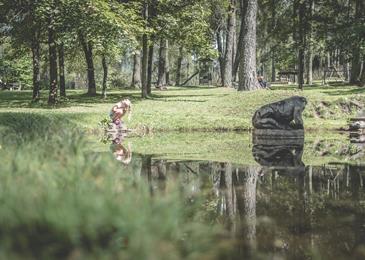 Die Natur erleben